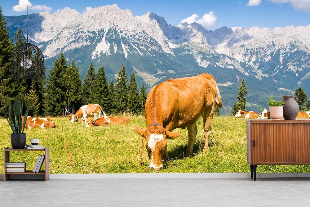 Fototapete Kühe in Alpen
