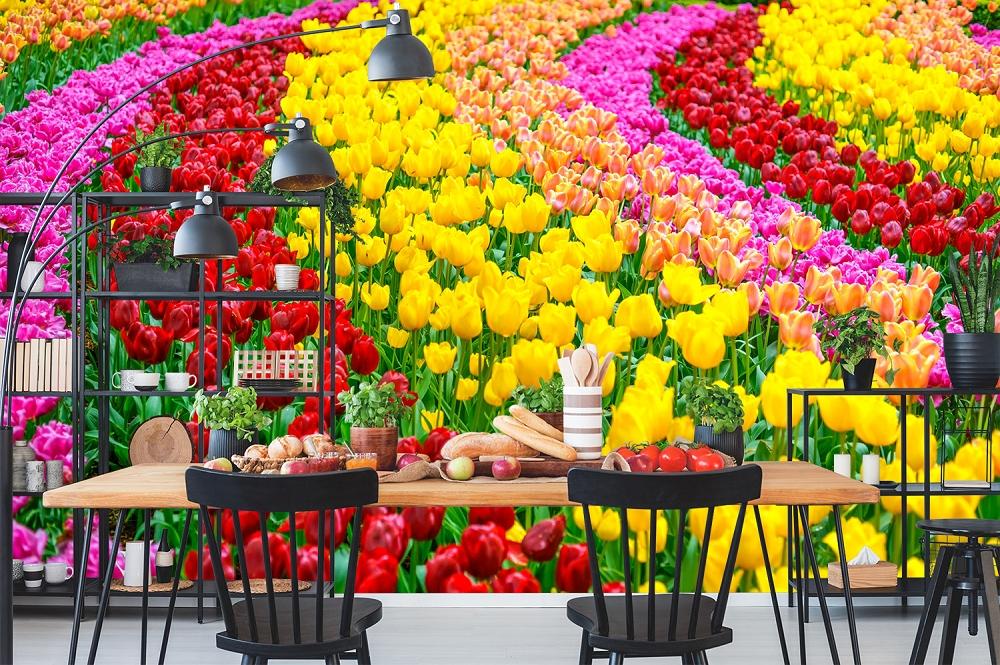 Fototapete Tulpen