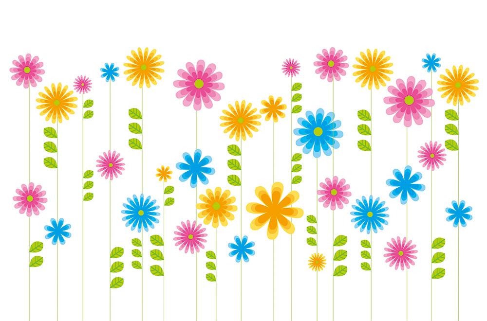 Selbstklebende Fensterfolie als Sichtschutz – Bunte Blumen