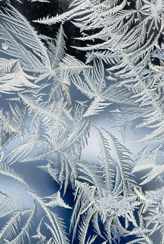 Fensterfolie Eiskristalle im Winter I Online kaufen