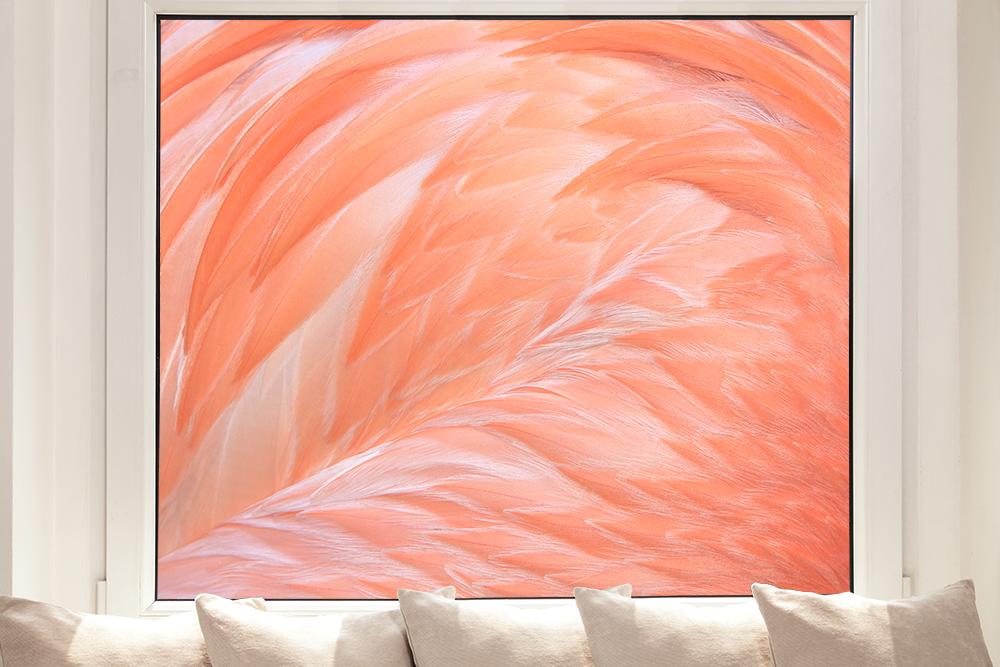 Fensterfolie Sichtschutz – Flamingo-Federn