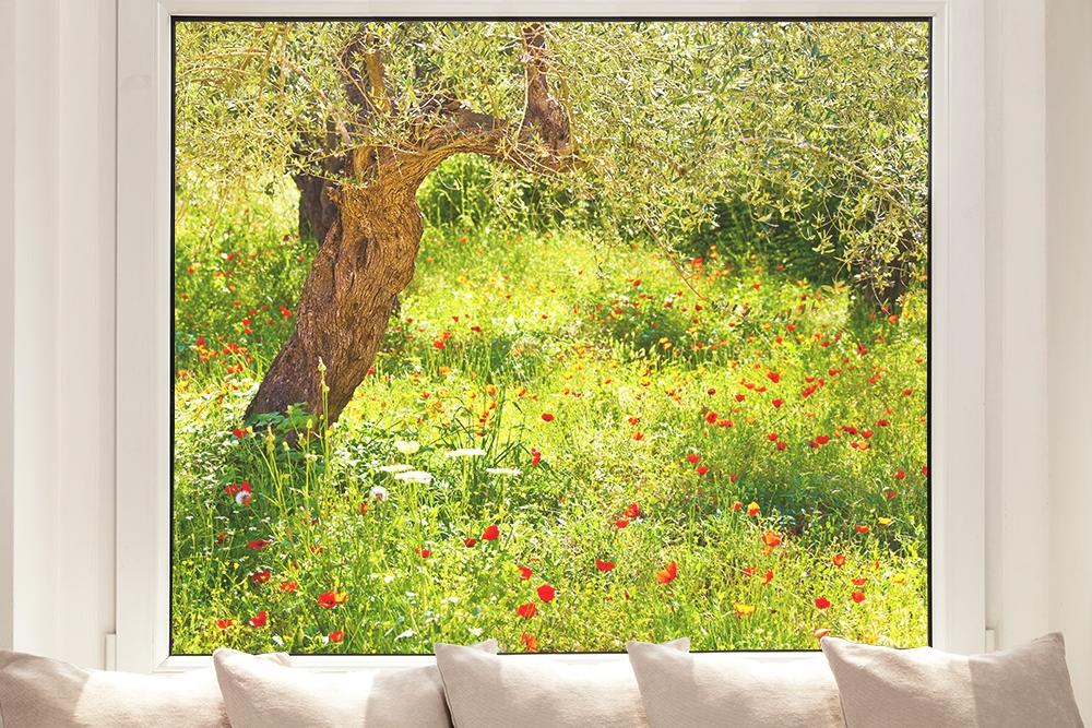 Fensterfolie mit Mohnblumen auf einer Wiese