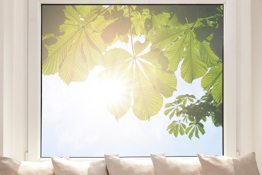 Fensterfolie als Sichtschutz – Kastanienblättern im Querformat