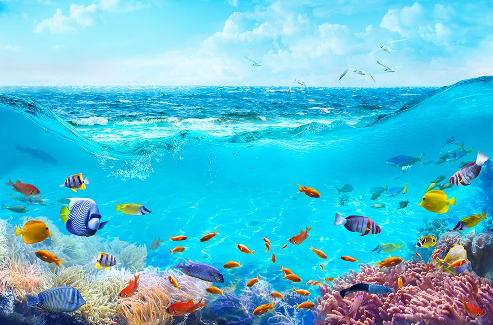 Selbstklebende Fensterfolie Fische im Meer