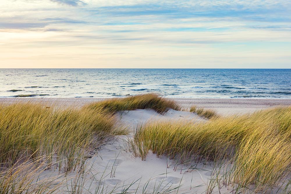 Fensterfolie Möwen an der Ostsee I Online kaufen!