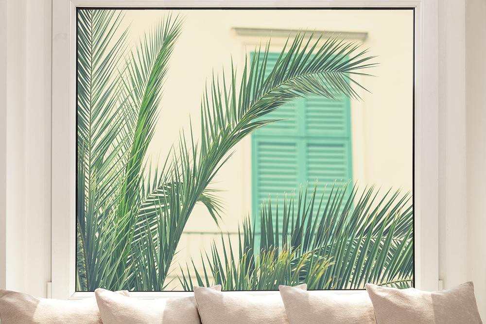 Fensterfolie mit Palmenblättern im Lounge-Look