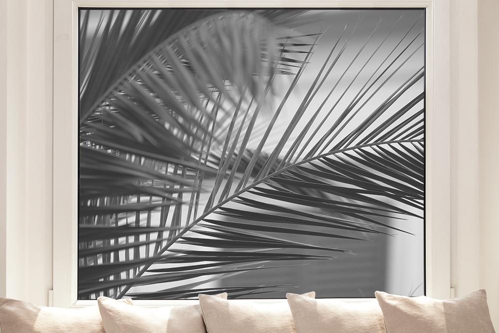 Fensterfolie mit Palmenblättern in Schwarz-Weiß