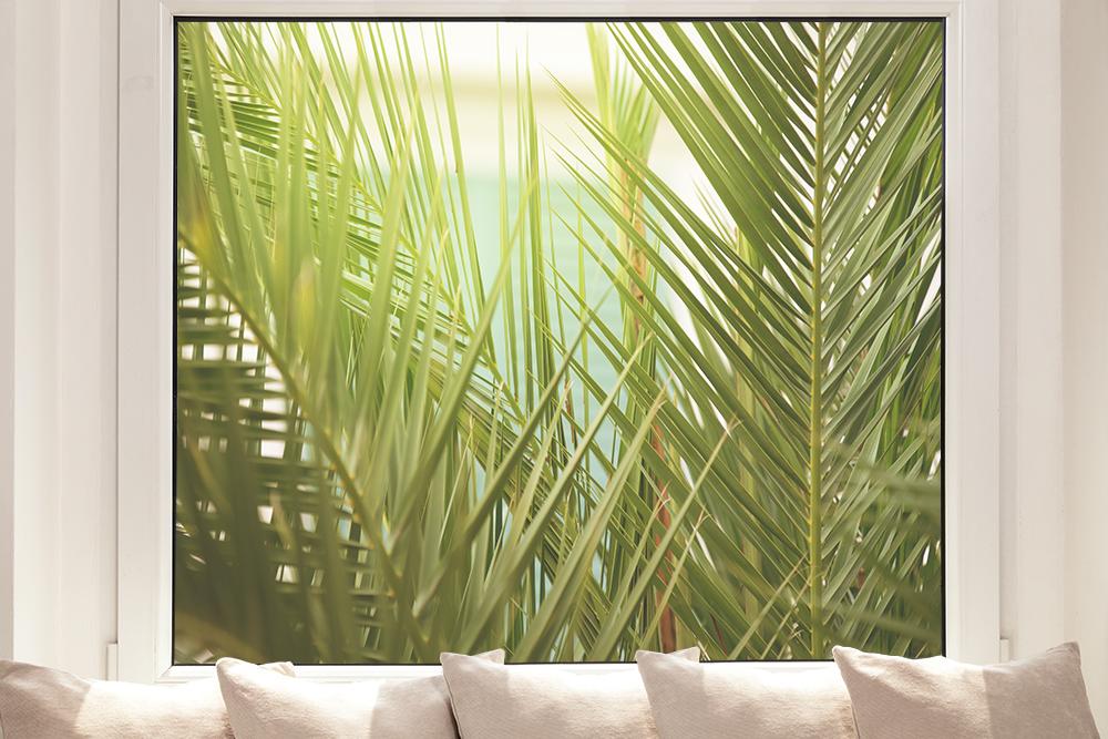 Fensterfolie mit tropischen Palmenblättern im Querformat