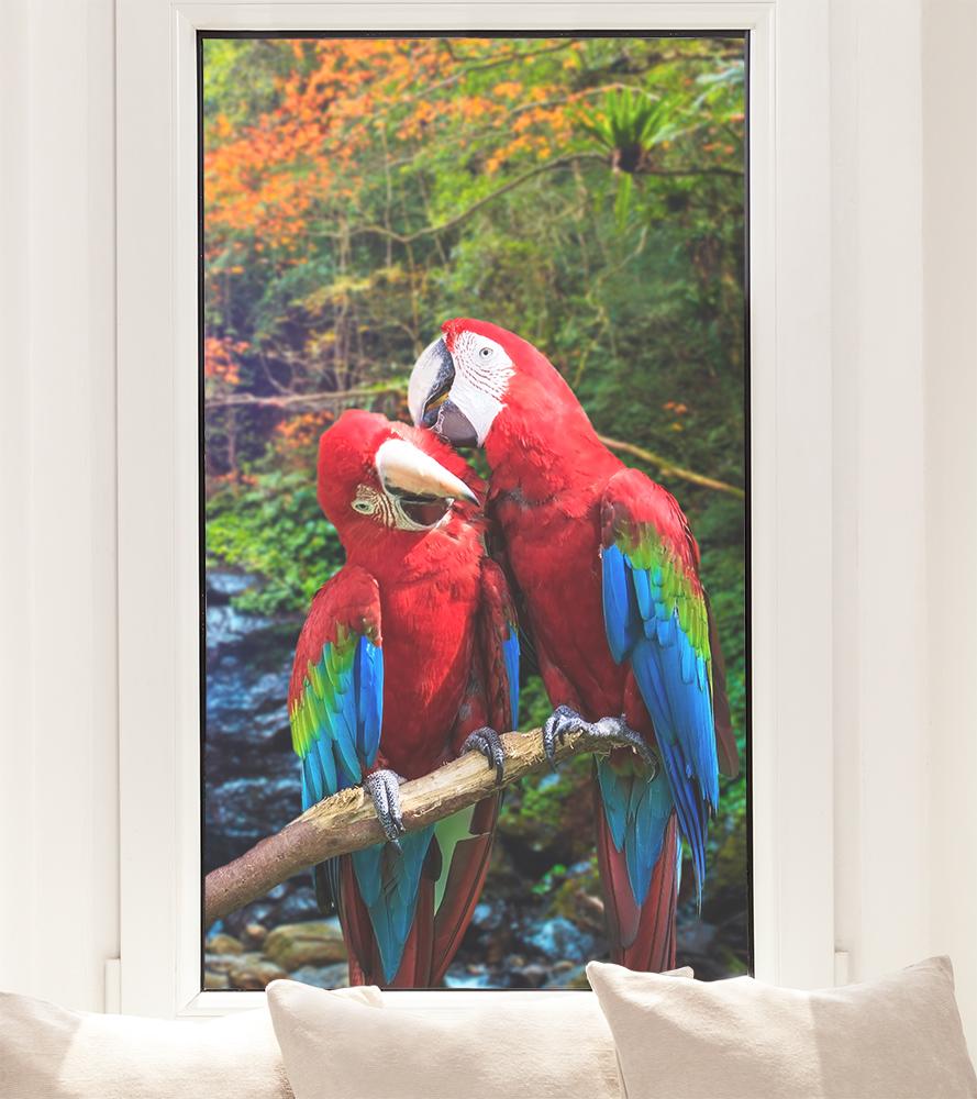 Fensterfolie mit Papageien im Urwald als Sichtschutz