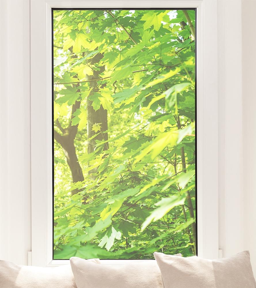 Fensterfolie mit grünen Blättern im Wald im Hochformat