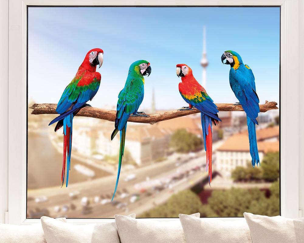 Vier Papageien Fenstersticker
