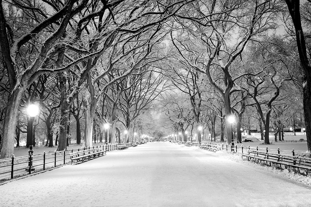 Vlies-Fototapete Weg im Central Park von New York im Winter