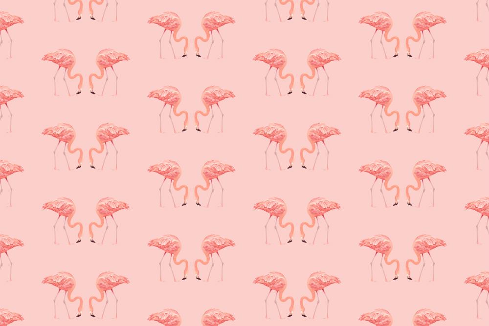 Fototapete mit einem Flamingo-Muster auf rosa Hintergrund