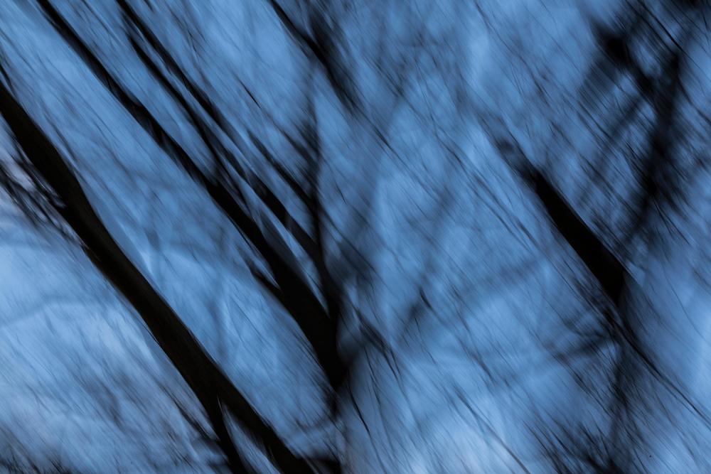 Fototapete abstrakter Baum Artwork