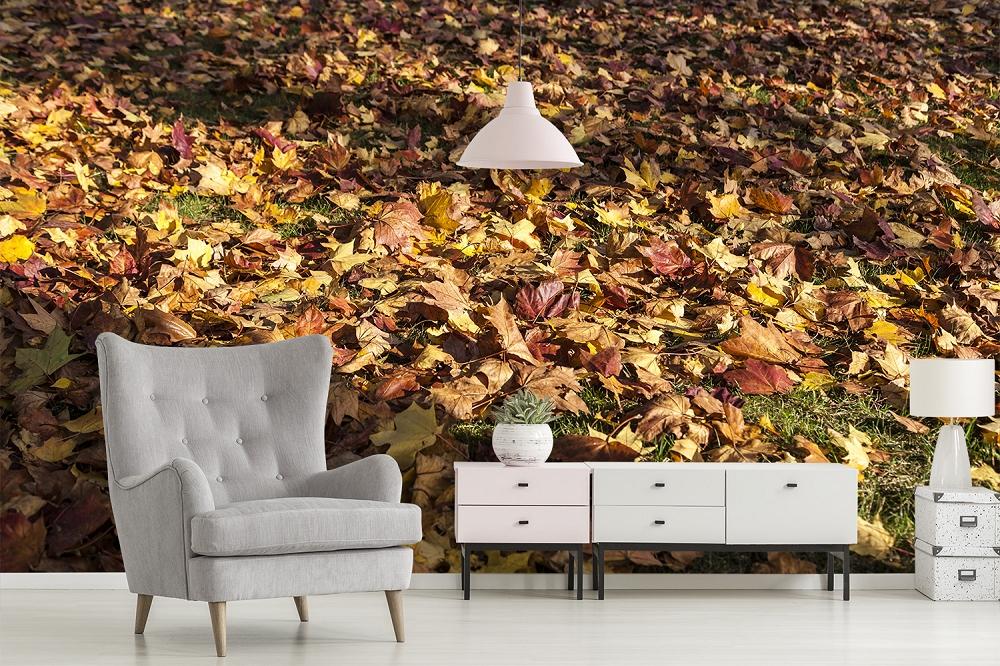 Fototapete Herbstblätter