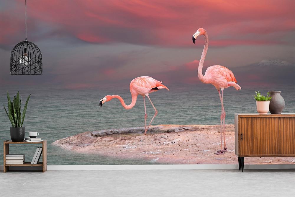 Fototapete Flamingos