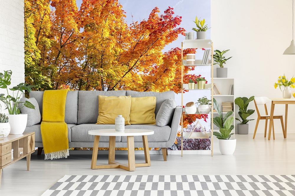 Fototapete Herbstbaum