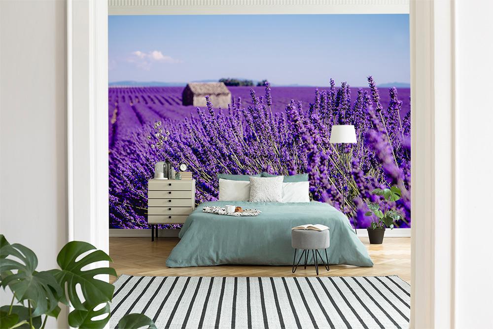 Fototapete Lavendelfeld in Valensole von Frankreich