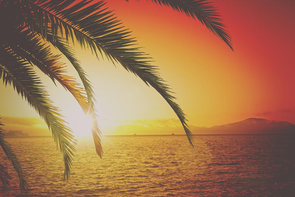 80s Retro-Fototapete Palmenblätter am Meer in der Abendsonne