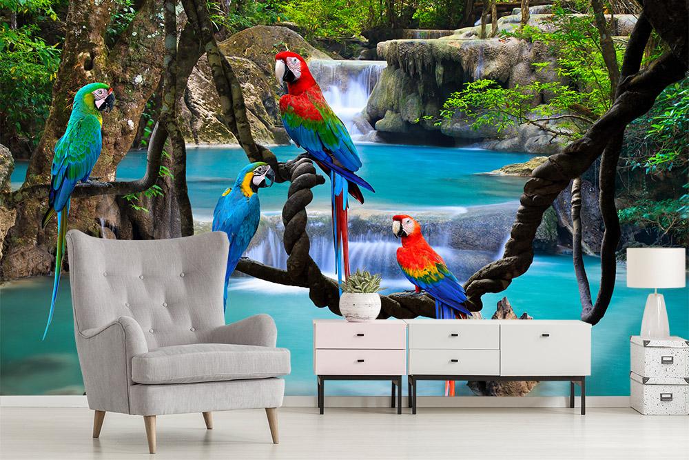 Fototapete Papageien vor einem Wasserfall