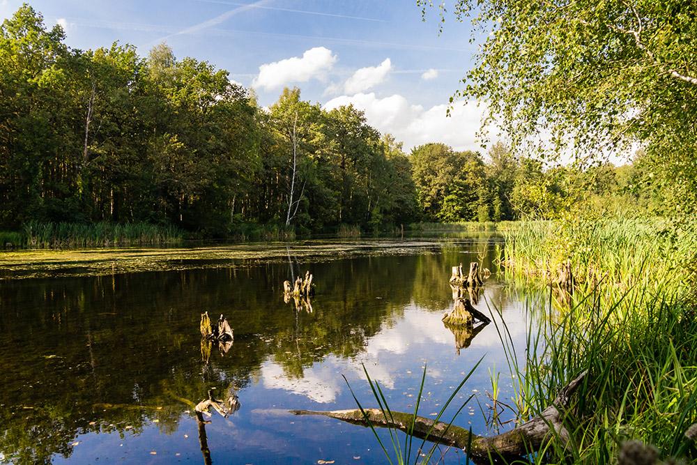 Fototapete kleiner See in Brandenburg