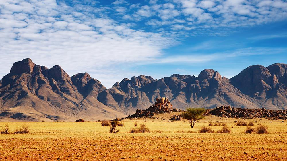 Fototapete Namib Wüste in Afrika