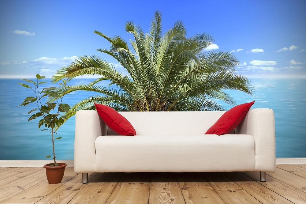 Fototapete Palme am Meer