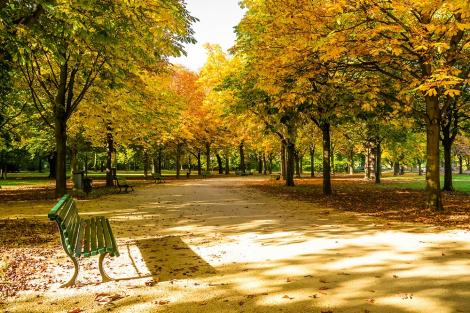 Fototapete Tiergarten von Berlin im Herbst