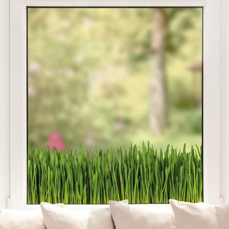 Fenstersticker Gras als Sichtschutz