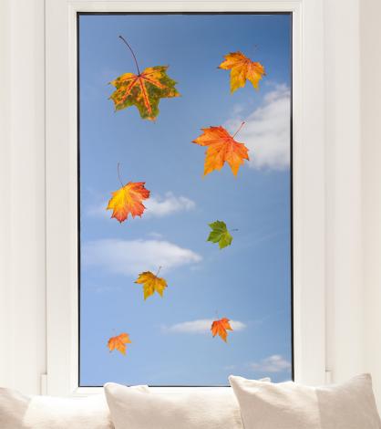 Fensterfolie mit fliegenden Herbstblättern als Sichtschutz