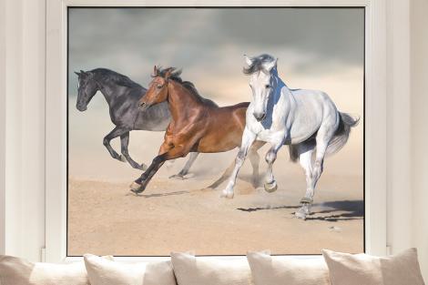 Fensterfolie drei Pferde im Galopp in der Wüste