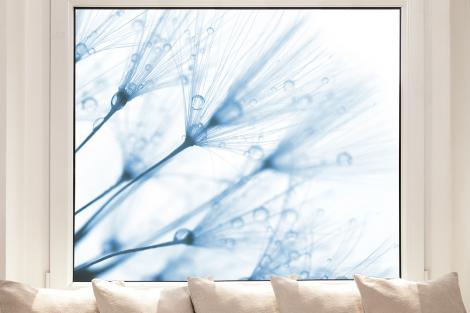 Bedruckte Fensterfolie mit einem Pusteblumen-Motiv in Blau