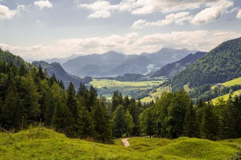 Fototapete Alpenpanorama in Nordtirol in Österreich