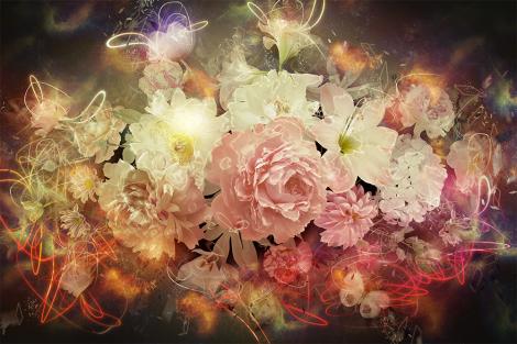 Fototapete Blumenstrauß mit Lichteffekten