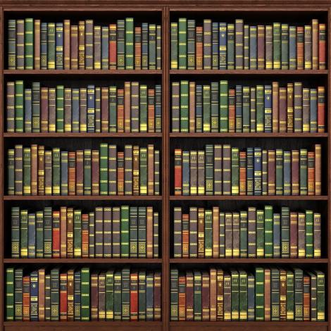 Fototapete altes Bücherregal