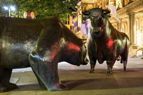 Fototapete Bulle und Bär in Frankfurt