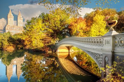 Fototapete Brück im Central Park von New York im See