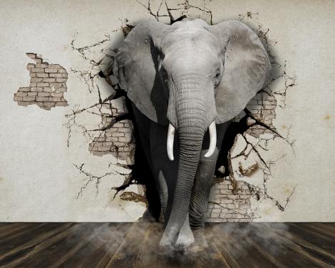 Fototapete Elefant geht durch Wand