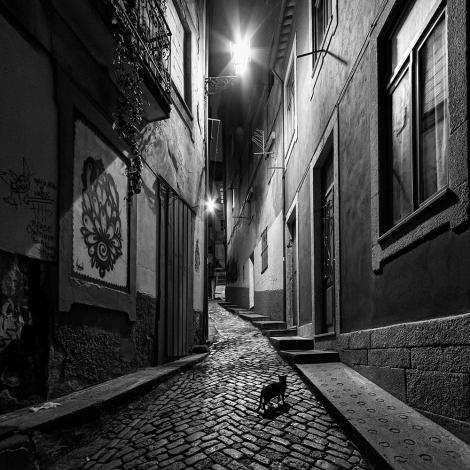 Fototapete Katz in einer Gasse in Portugal in Schwarz-Weiß