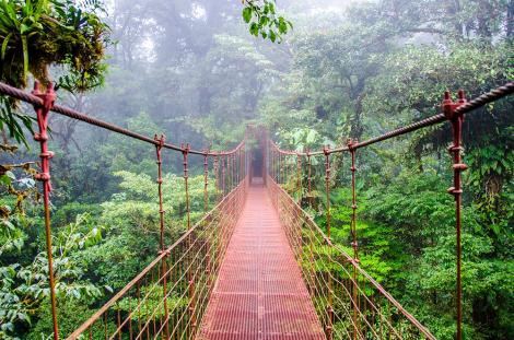Fototapete Hängebrück im Regenwald von Costa Rica