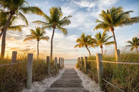 Fototapete Palmen am Strand in Florida
