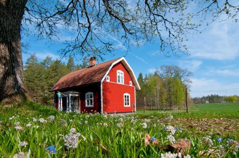 Fototapete rotes Holzhaus in Schweden