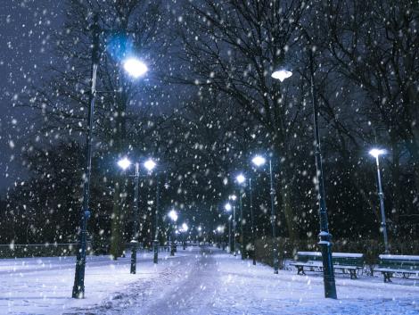 Fototapete Schneeflocken im Park
