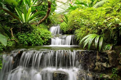 Fototapete Wasserfall