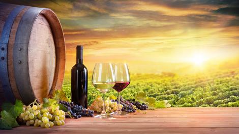 Fototapete Weingläser mit Rotwein und Weißwein