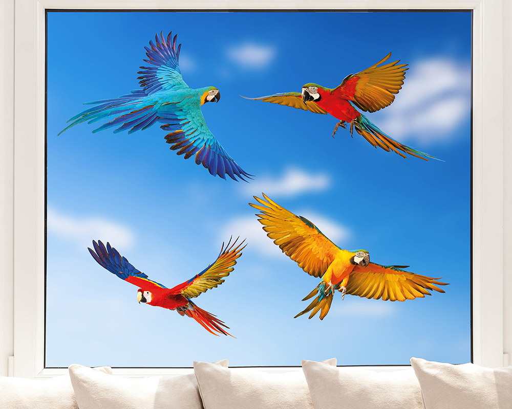 Fenstersticker mit vier fliegenden Papageien